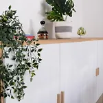 Host In Italy - Magnifica Con Giardino Nel Centro *